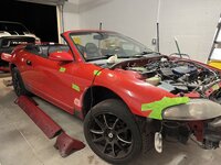 IMG_8833.jpeg