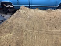 IMG_4033.jpeg