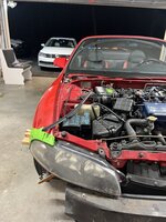 IMG_8967.jpeg
