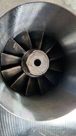 20240115_120137.jpg