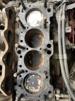 IMG_3827.jpeg