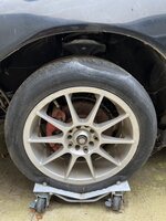 IMG_3823.jpeg