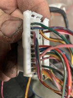 IMG_4209.jpeg