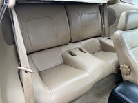 IMG_3019.jpeg