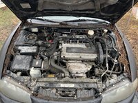 IMG_3021.jpeg