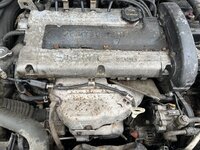 IMG_3022.jpeg