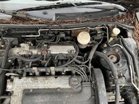 IMG_3023.jpeg