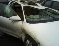 IMG_3129.jpeg
