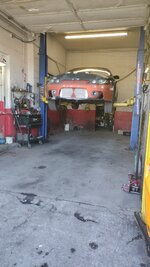 IMG_20240214_160732164.jpg