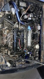 IMG_0700.jpeg