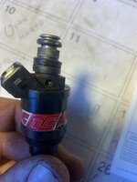 IMG_4415.jpeg