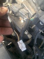 IMG_4439.jpeg