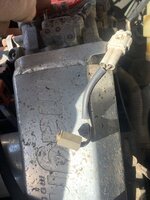 IMG_4437.jpeg