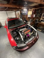 IMG_3798.jpeg