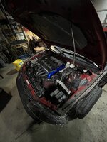 IMG_7469.jpeg