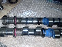IMG_2622.jpeg