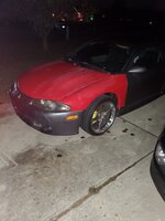 20221128_065248.jpg