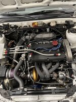 IMG_3565.jpeg