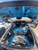 IMG_7812.jpeg