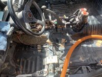 IMG_4601.jpeg