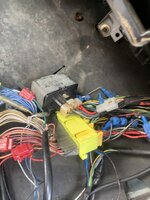 IMG_4598.jpeg