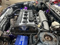 IMG_3670.jpeg