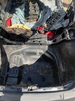 IMG_4984.jpeg