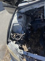 IMG_4986.jpeg
