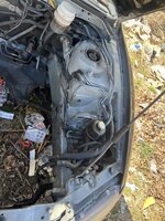 IMG_4987.jpeg