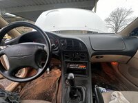 IMG_5718.jpeg