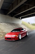 IMG_8212.jpeg