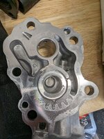 PXL_20240407_230135251.jpg