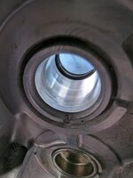 PXL_20240407_231215970.jpg