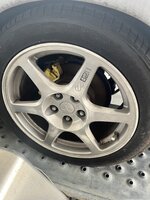 IMG_3249.jpeg