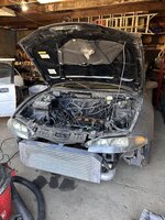 IMG_1349.jpeg