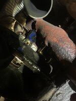 IMG_4974.jpeg
