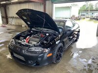 IMG_7749.jpeg