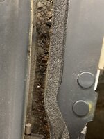 IMG_4979.jpeg