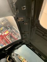 IMG_4983.jpeg