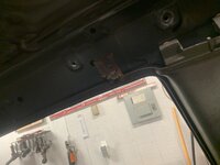 IMG_4984.jpeg