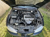 IMG_6607.jpeg