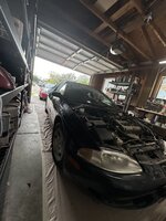 IMG_6647.jpeg