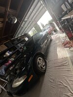 IMG_6650.jpeg