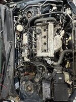 IMG_6787.jpeg