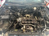 IMG_6837.jpeg