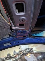 PXL_20240522_020039784.jpg