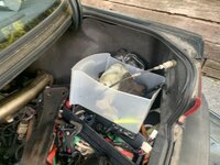 IMG_5053.jpeg