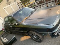 IMG_5050.jpeg
