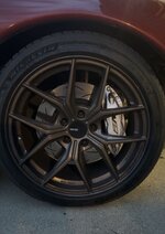 IMG_0649.jpeg