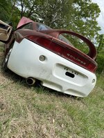 IMG_2550.jpeg
